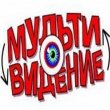 XI Международный фестиваль анимационных искусств «Мультивидение – 2013» 