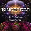 Концерт Kindzadza (Dark Psy)