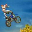 Мотофристайл-битва Adrenaline FMX Riders