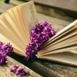Проект «Книжные аллеи...»