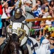 Рыцарский турнир «Средневековая сказка»