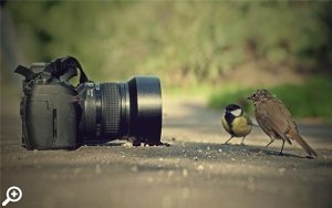 Лекция «Фотография и психотерапия: новые возможности»