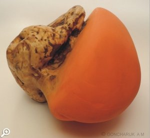 1 декабря в арт-центре «Пушкинская-10» откроются новые выставки