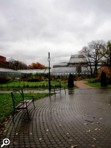 Романтическая прогулка по тропическим оранжереям