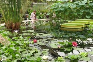 Вечер Встреч в Ботаническом Саду