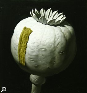 Выставка «Мирные поля» в «Эрарте»