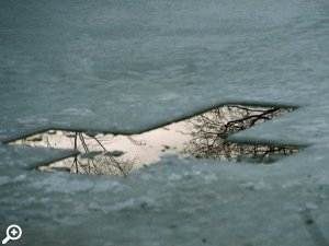 Массовое крещенское купание у стен Петропавской крепости