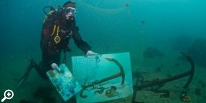 Выставка подводной живописи Дениса Лотарева
