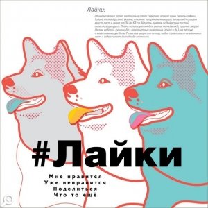 Презентация проекта TRENDING дизайн-группы «Терминал дизайн»