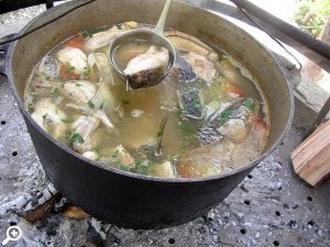 Праздник «Невская уха»