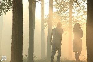 Кинопоказ «Норвежский лес»