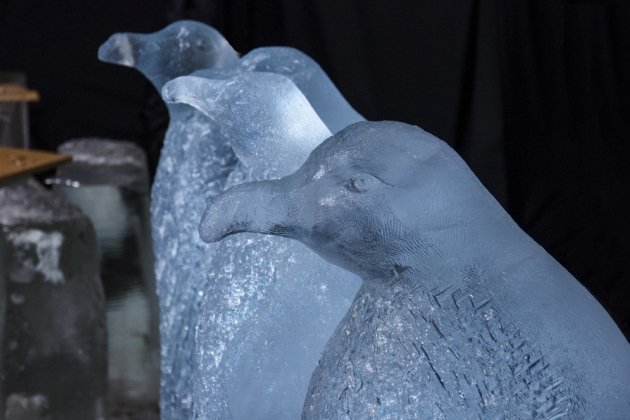 Выставке ледовых скульптур «Ледяная сказка»