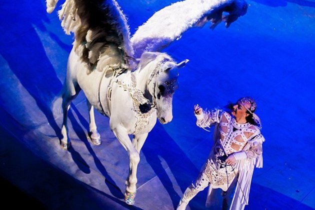 Торжественно открывшийся Цирк на Фонтанке ждет петербуржцев на новогодние представления