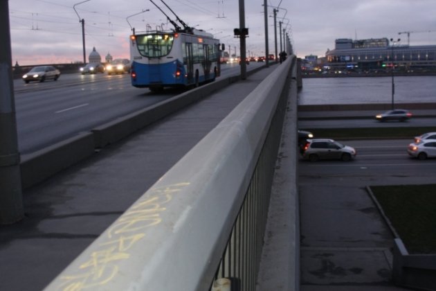Мост Александра Невского в Санкт Петербурге фото