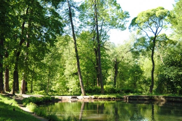 Парк лесотехнической академии