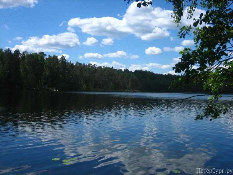 Киришское озеро фото