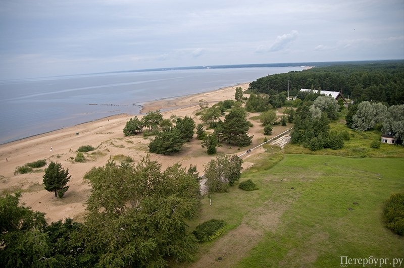 Шашлыкомания: все, что вы хотели знать о приготовлении шашлыка в Петербурге, но не знали у кого спросить