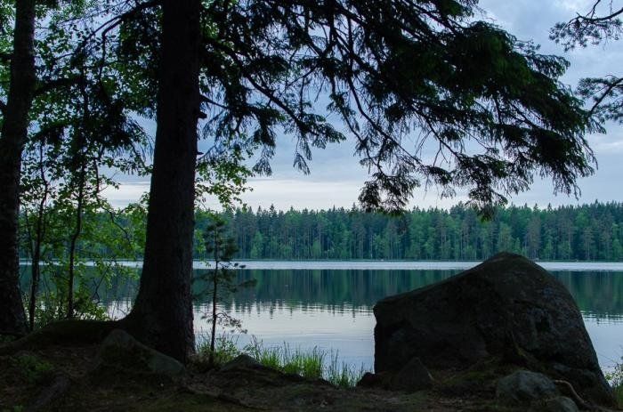 Рыбалка на Зеркальном озере в Ленинградской области: лучшие места и советы